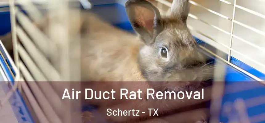  Air Duct Rat Removal Schertz - TX