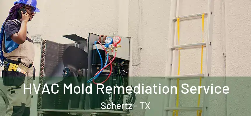  HVAC Mold Remediation Service Schertz - TX