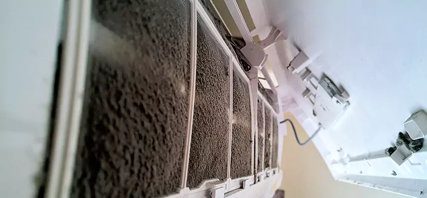 Preventive Air Duct Bacteria Removal in Schertz