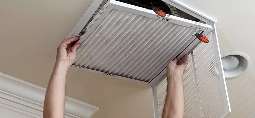 Preventive Cockroach-Proofing for Ducts in Schertz