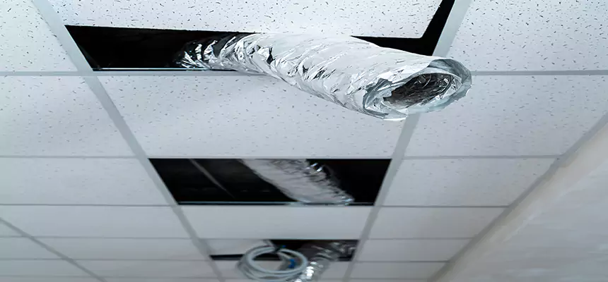 Affordable HVAC Sanitizing After Pest Removal in Schertz