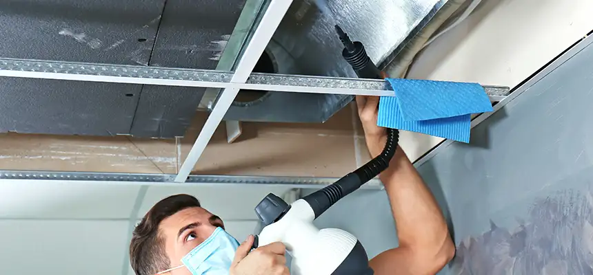 Our Air Duct Rodent Removal Services in Schertz, TX