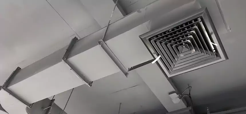 Restorative Allergy Relief Vent Cleaning – Coil, Blower & Housing Detail in Schertz