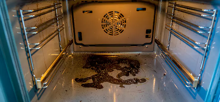 Our Dryer Vent Mold Cleaning Services in Schertz, TX