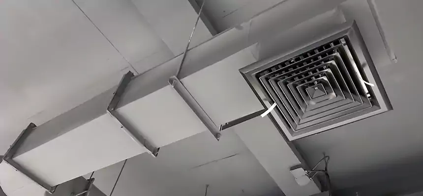 Our Pest Removal From Ducts Services in Schertz, TX