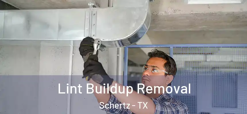  Lint Buildup Removal Schertz - TX