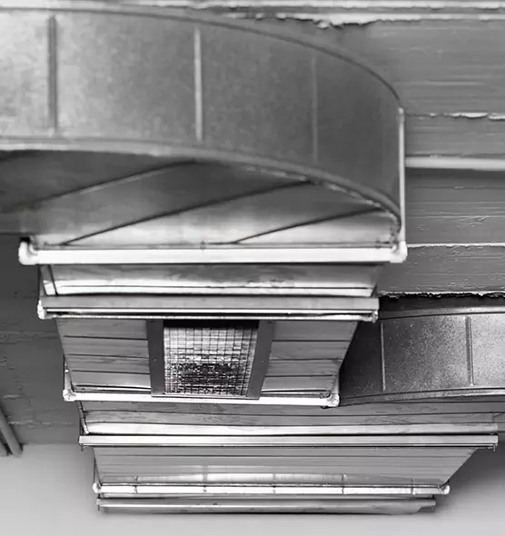 Professional Air Duct Pet Hair Removal in Schertz, TX