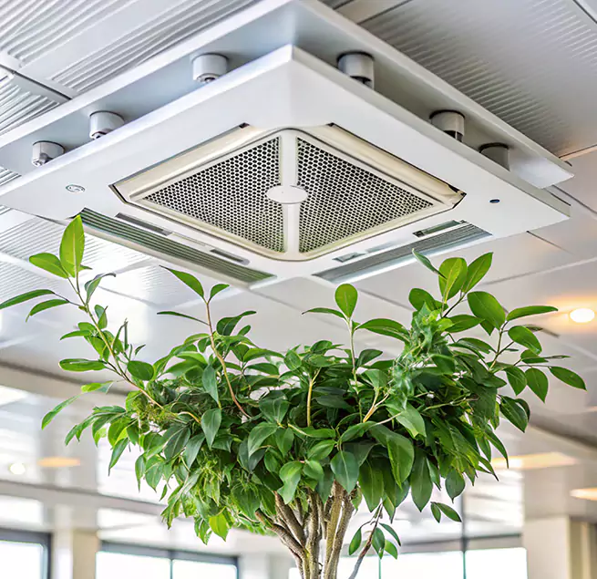 Why Homeowners & Businesses Trust Us in Schertz, TX?