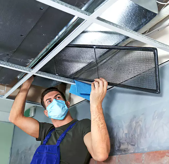 Why Homeowners Businesses Trust Us in Schertz, TX